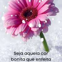 Seja aquela cor bonita que enfeita a vida com alegria e doçura! Bom dia!