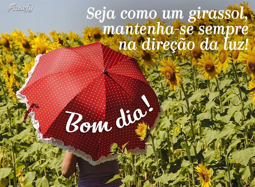 Seja como um girassol, mantenha-se sempre na direção da luz!  Bom dia!