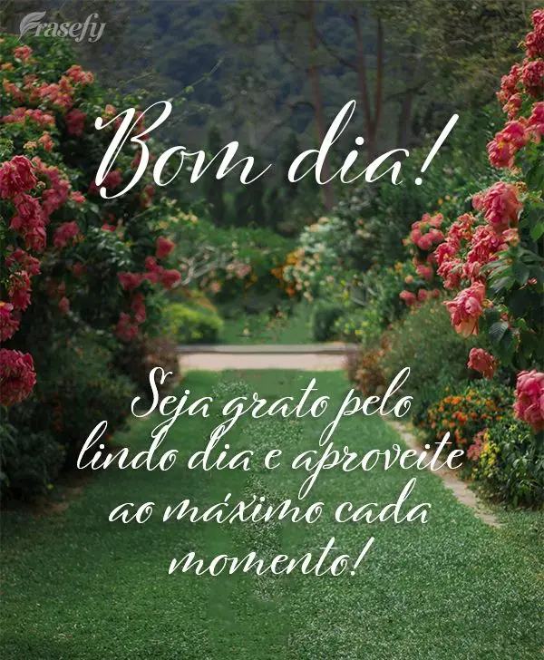 Seja grato pelo lindo dia e aproveite ao máximo cada momento! Bom dia! 