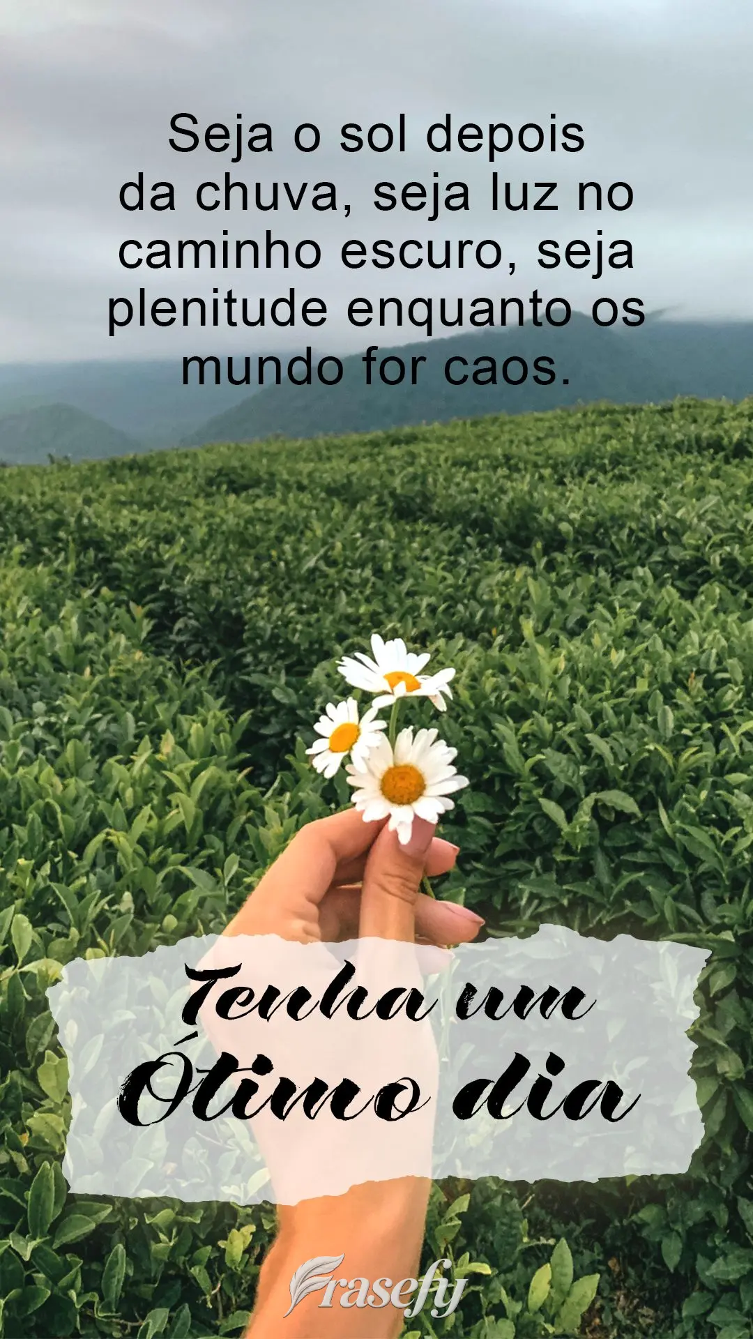 Seja o sol depois da chuva, seja luz no caminho escuro, seja plenitude enquanto o mundo for caos.  Tenha um ótimo dia!