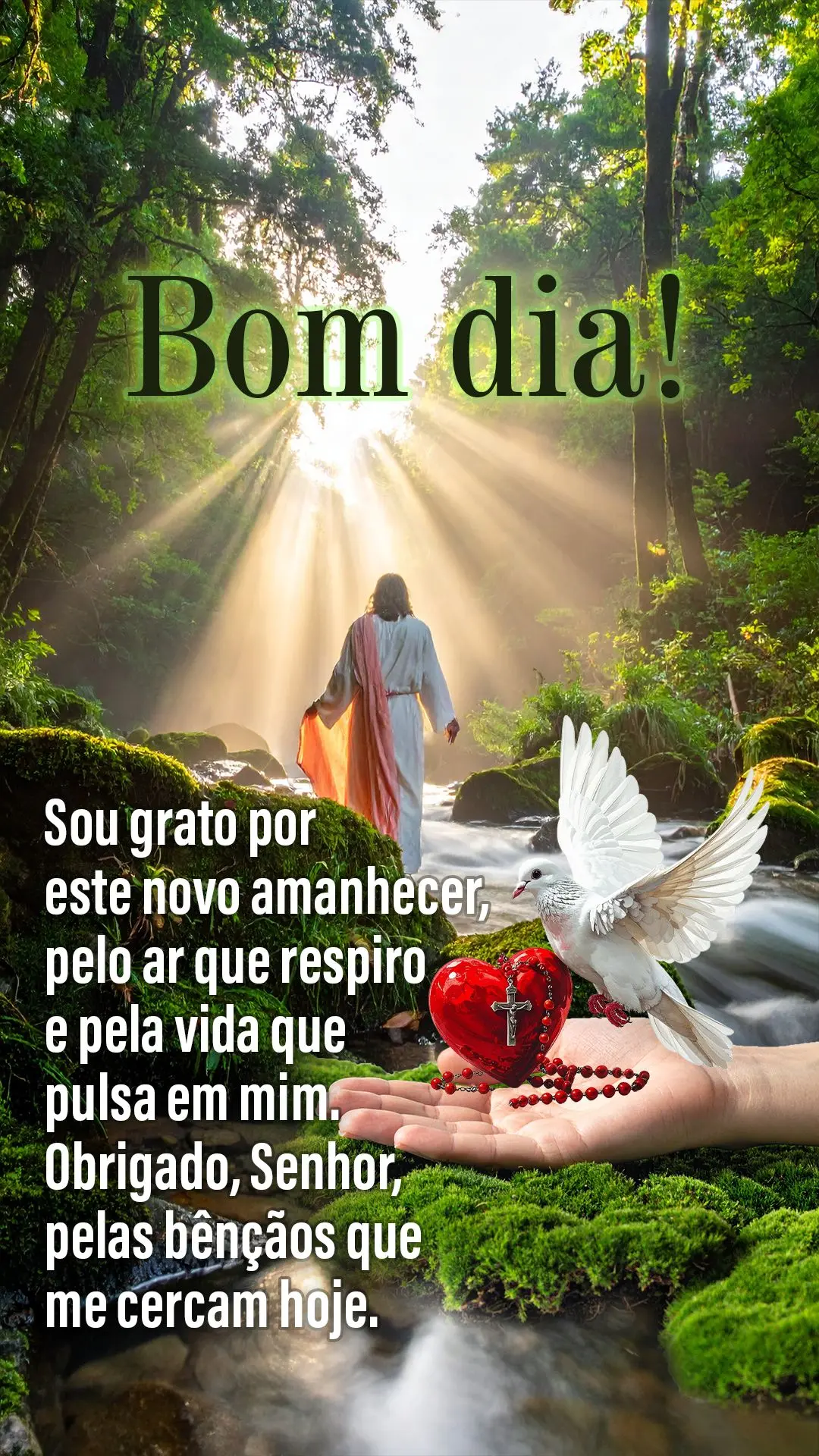 Sou grato por este novo amanhecer, pelo ar que respiro e pela vida que pulsa em mim. Obrigado, Senhor, pelas bênçãos que me cercam hoje.