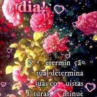 Sua determinação atual determina suas conquistas futuras. Continue firme no seu propósito. Bom dia! 