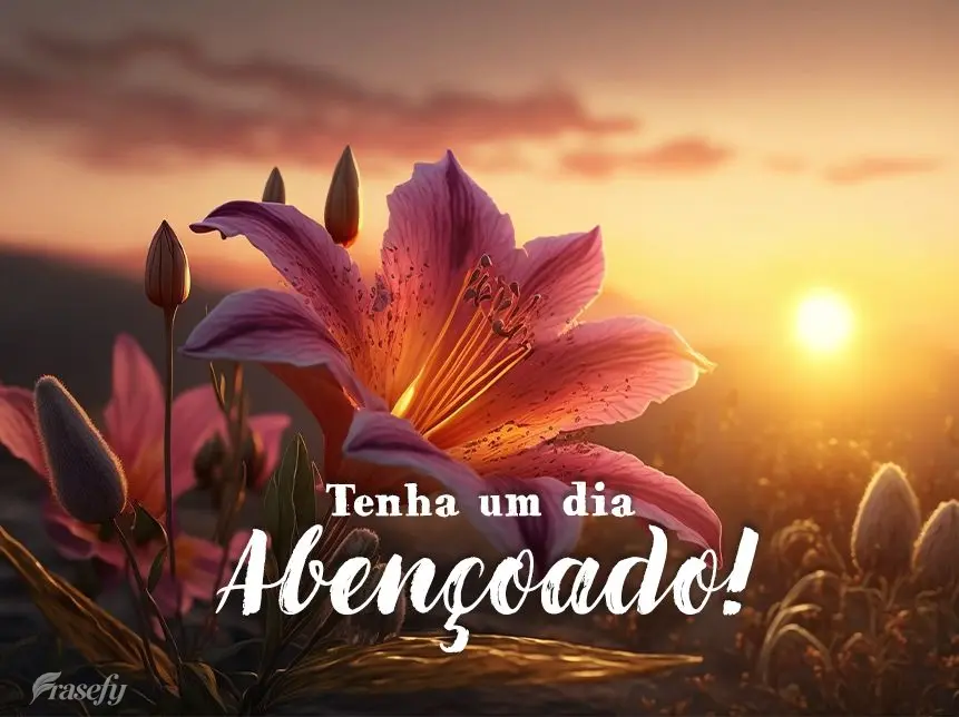 Tenha um dia abençoado!