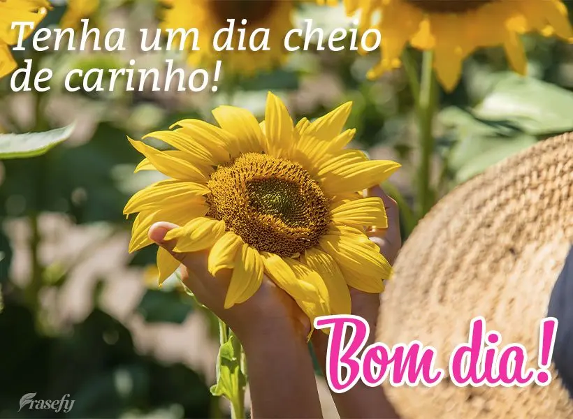 Tenha um dia cheio de carinho! Bom dia!