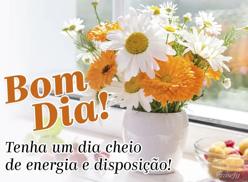 Tenha um dia cheio de energia e disposição. Bom dia!