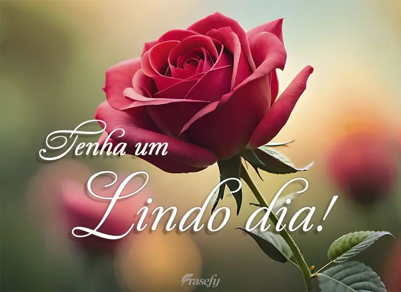 Tenha um lindo dia!