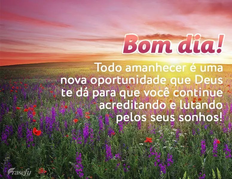 Todo amanhecer é uma nova oportunidade que Deus te dá para que você continue acreditando e lutando pelos seus sonhos! Bom dia!