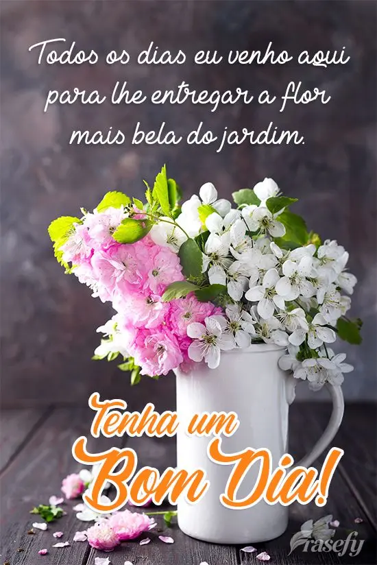 Todos os dias eu venho aqui para lhe entregar a flor mais bela do jardim. 
 Tenha um Bom Dia!