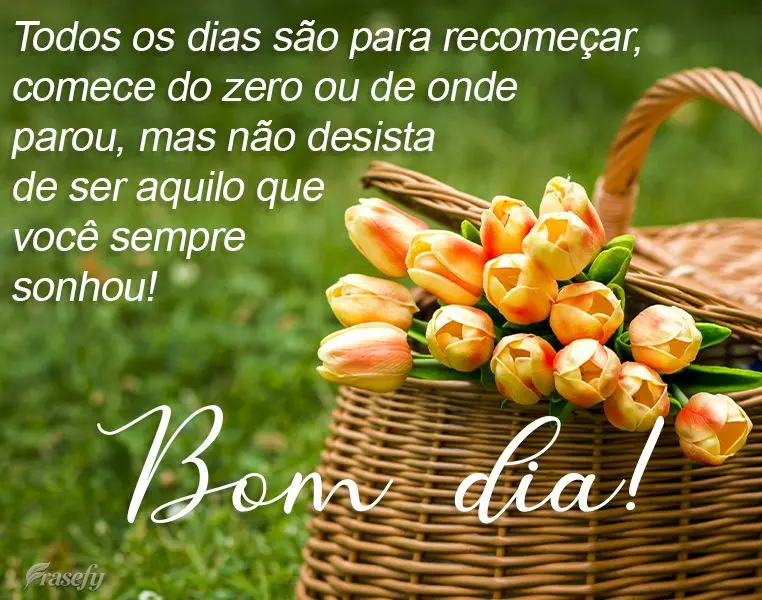 Todos os dias são para recomeçar. Comece do zero ou de onde parou, mas não desista de ser aquilo que você sempre sonhou! 
 Bom dia!
