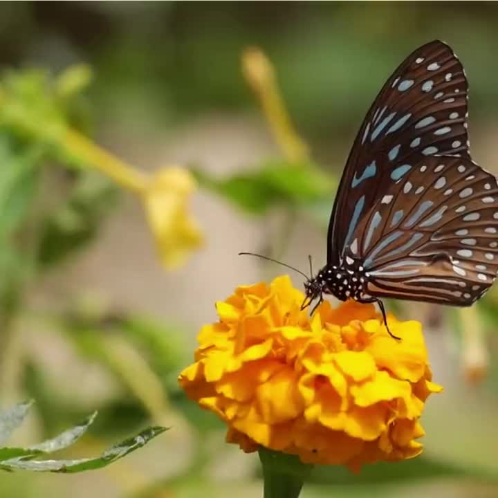 Um novo amanhecer, uma nova chance de ser feliz! 
Que esse dia seja abençoado, feliz, cheio de amor!
Que seja um dia muito produtivo e maravilhoso!
Q...