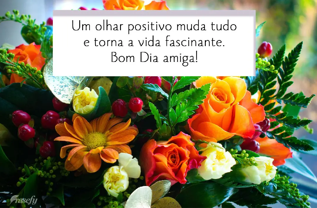 Um olhar positivo muda tudo e torna a vida fascinante. Bom Dia amiga!