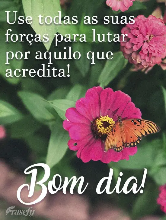 Use todas as suas forças para lutar por aquilo que acredita!  Bom dia!