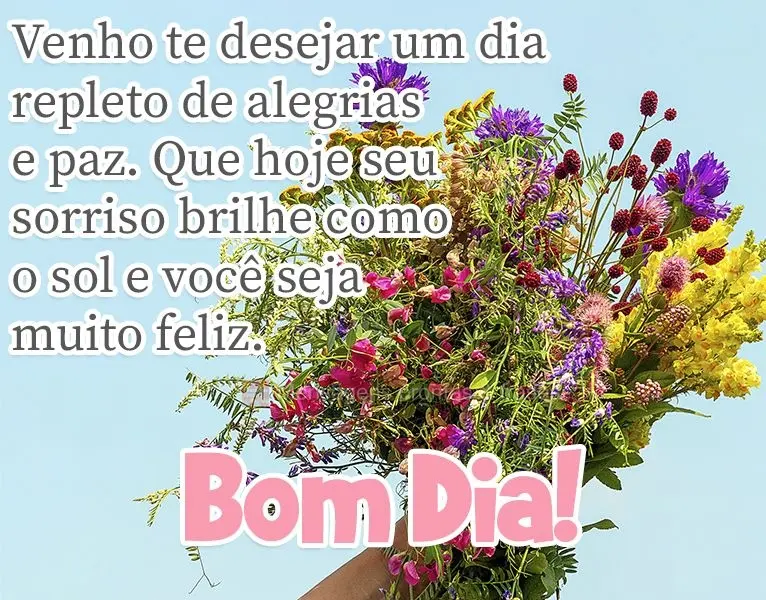 Venho te desejar um dia repleto de alegrias e paz. Que hoje seu sorriso brilhe como o sol e você seja muito feliz.
 Bom dia!