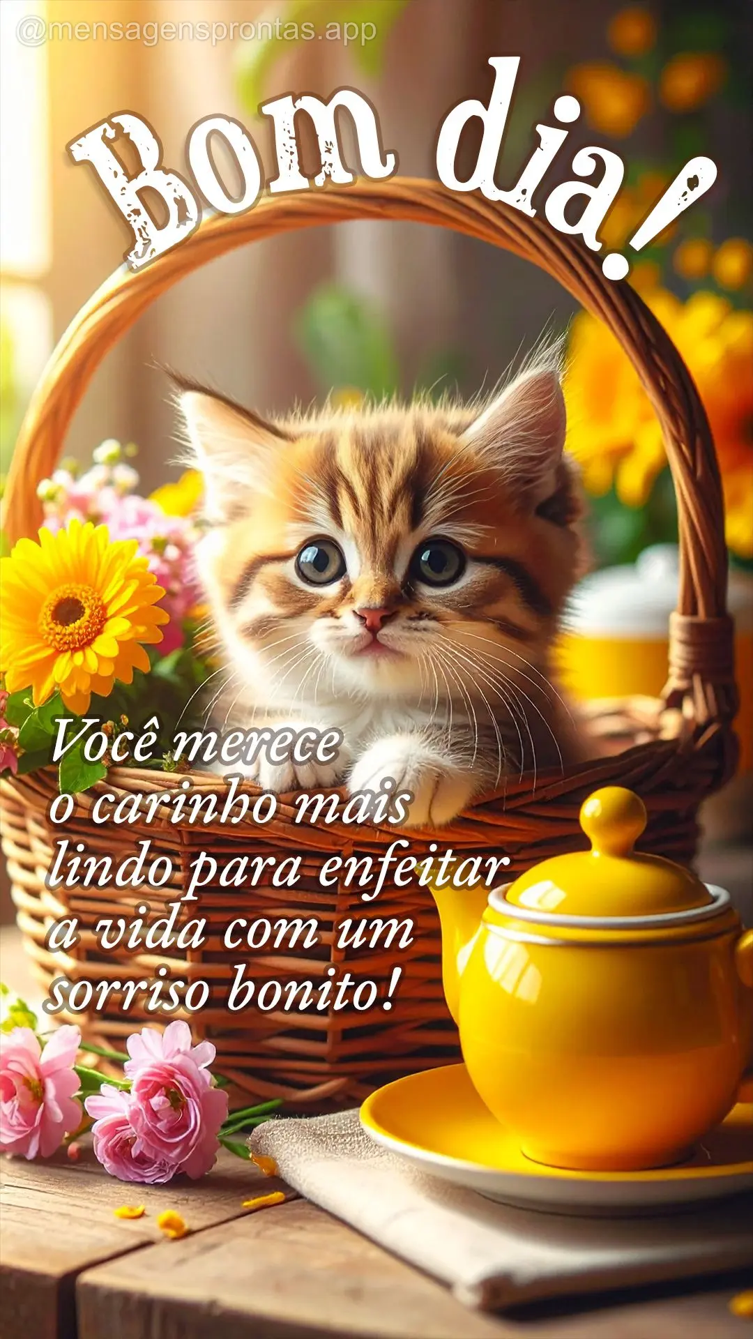 Você merece o carinho mais lindo para enfeitar a vida com um sorriso bonito! Bom dia!