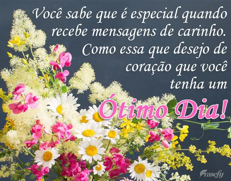 Você sabe que é especial quando recebe mensagens de carinho, como esta em que desejo de coração que você tenha um 
 Ótimo Dia!