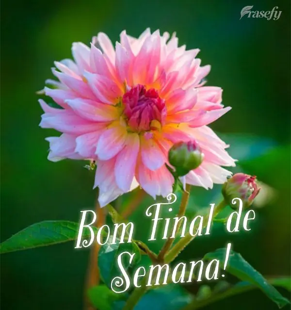 Bom Final de Semana!