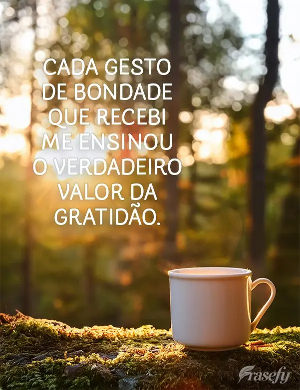 Cada gesto de bondade que recebi me ensinou o verdadeiro valor da gratidão.