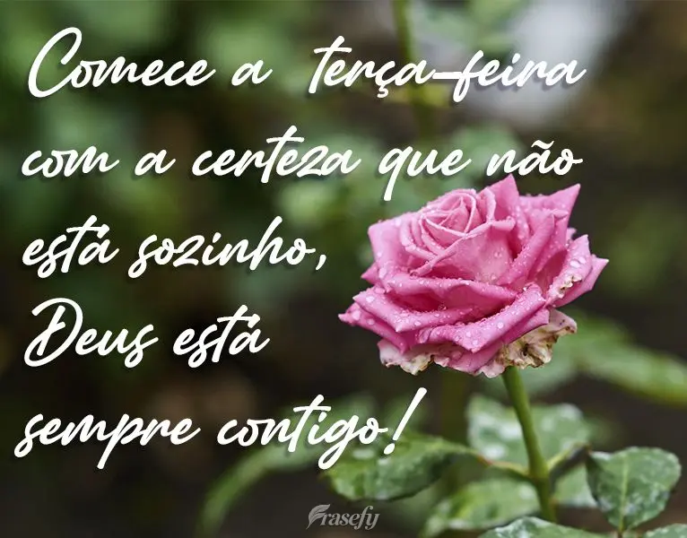 Comece a  terça-feira com a certeza de que não está sozinho, Deus está sempre contigo!
