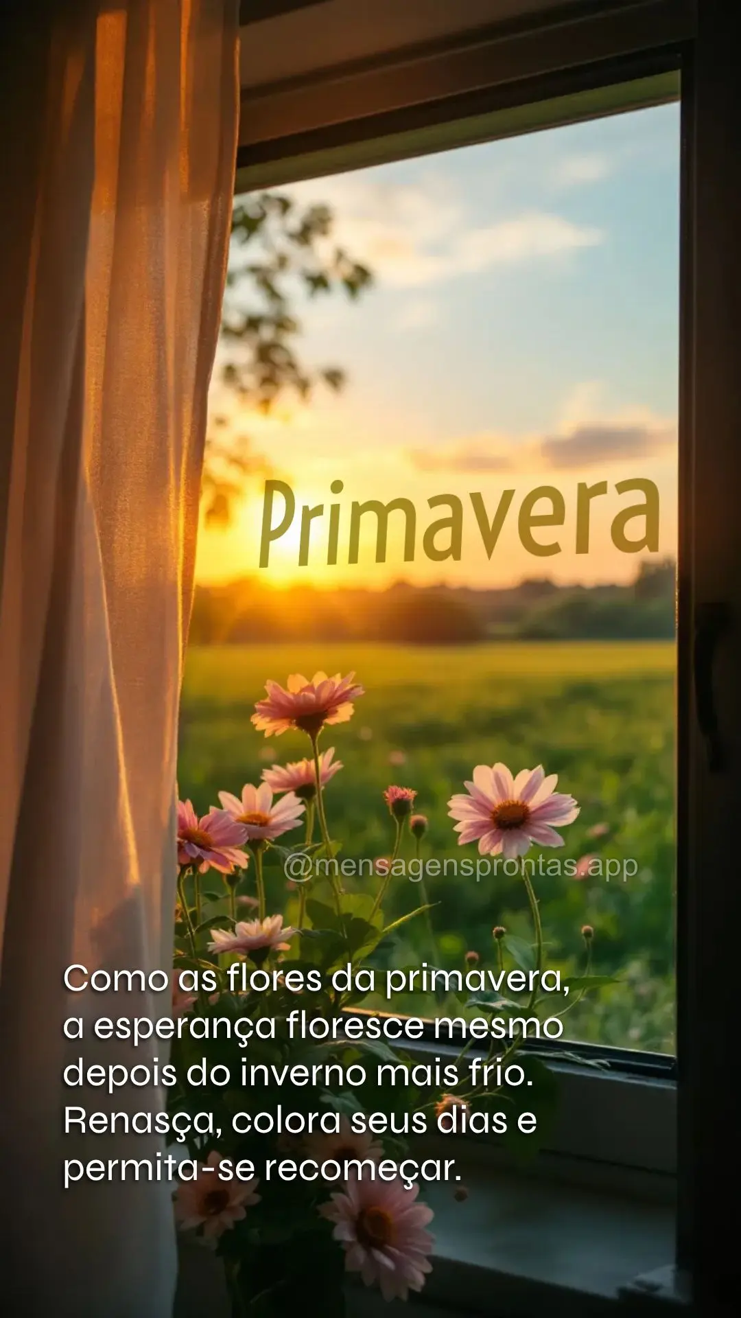 Como as flores da primavera, a esperança floresce mesmo depois do inverno mais frio. Renasça, colora seus dias e permita-se recomeçar. Primavera