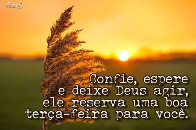 Confie, espere e deixe Deus agir, Ele reserva uma boa terça-feira para você.
