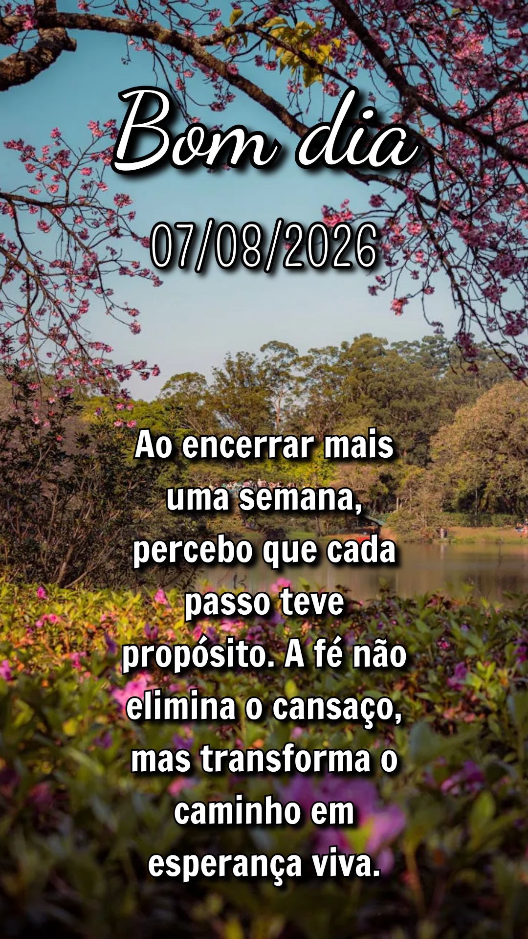 Ao encerrar mais uma semana, percebo que cada passo teve propósito. A fé não elimina o cansaço, mas transforma o caminho em esperança viva.