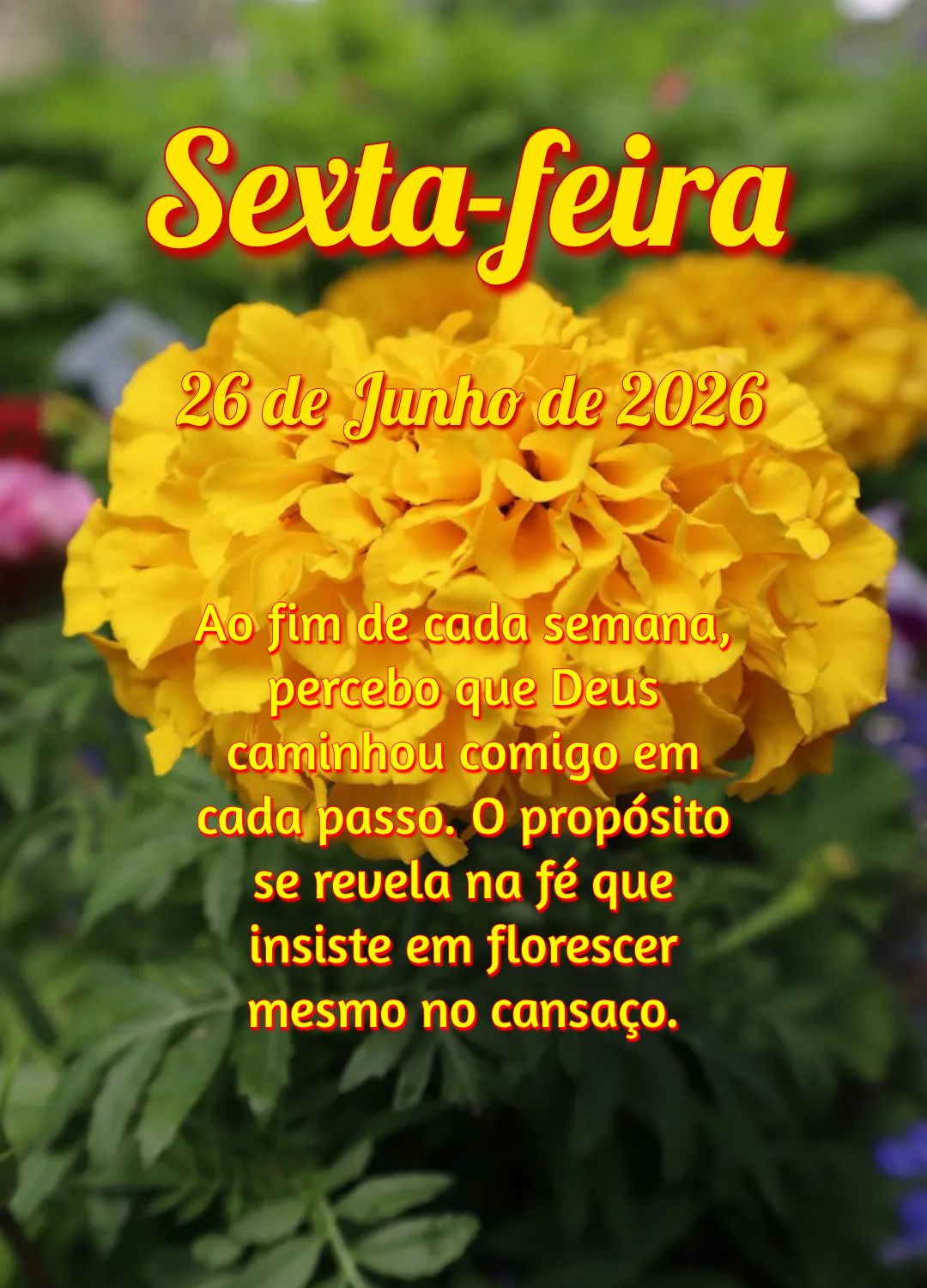 Ao fim de cada semana, percebo que Deus caminhou comigo em cada passo. O propósito se revela na fé que insiste em florescer mesmo no cansaço.