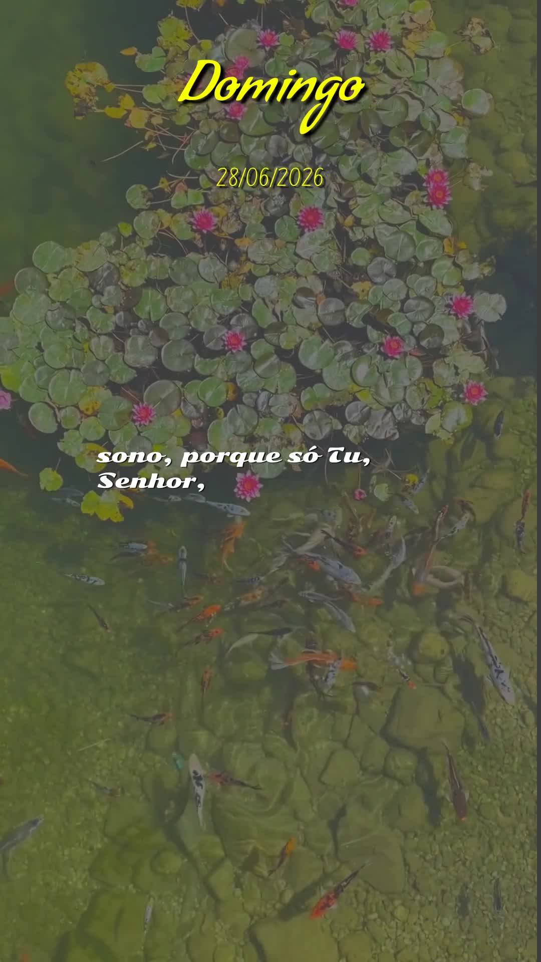 Boa noite. Neste domingo, dia do Senhor, que Deus abençoe este momento de descanso, renovando suas forças e acalmando seu coração. Que o amor de Cris...