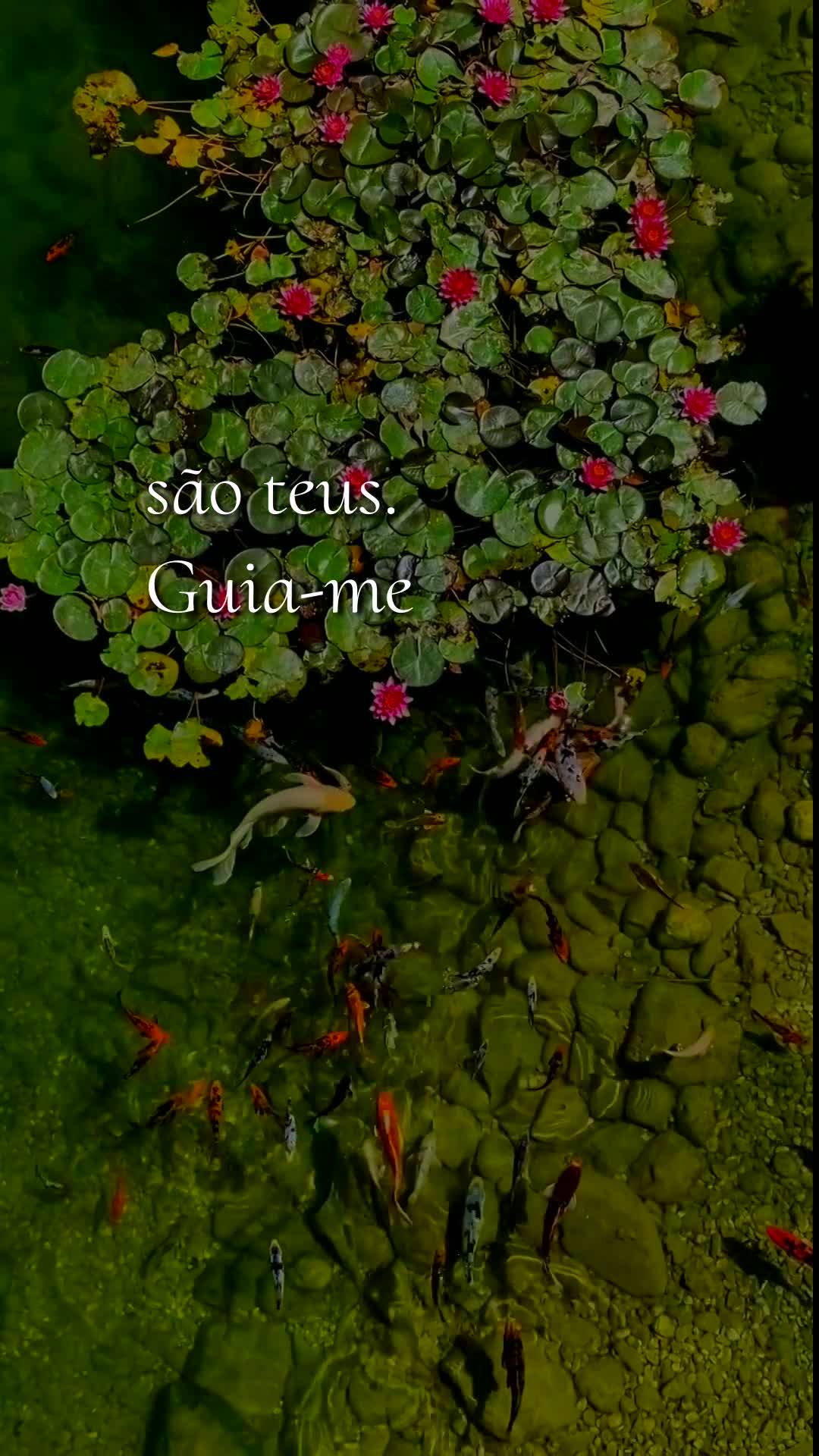 Bom dia, Deus. Domingo, 11 de Outubro de 2026, dia do Senhor, descanso e comunhão. Obrigado pelo novo amanhecer no nosso Brasil, pelo cheiro de café pa...