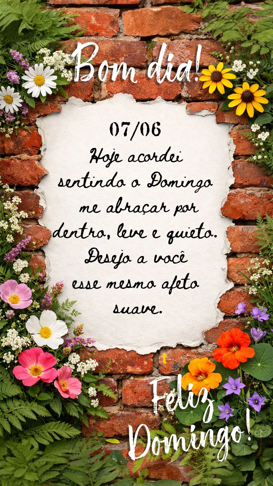 Bom dia. Hoje acordei sentindo o domingo me abraçar por dentro, leve e quieto. Desejo a você esse mesmo afeto suave. Feliz domingo.