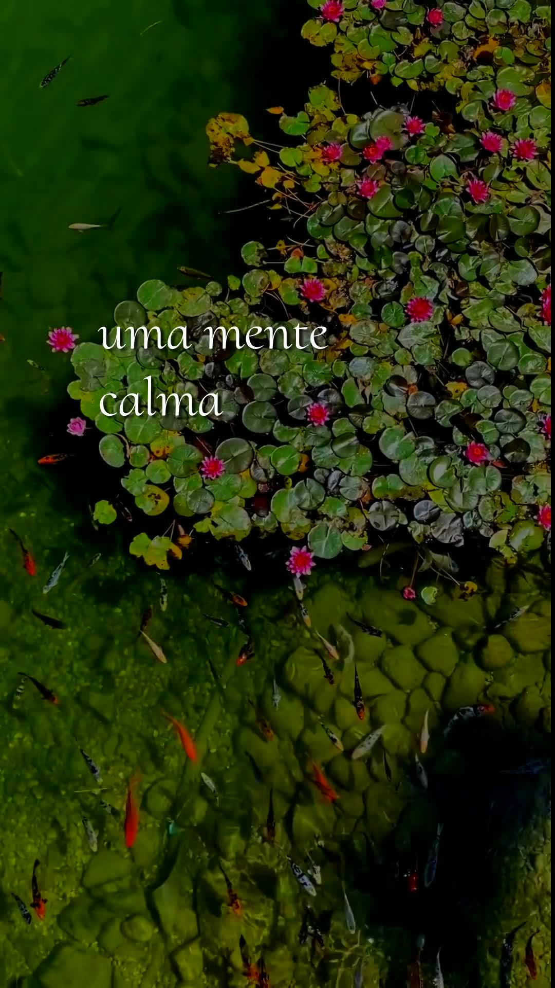 Bom dia, Jesus, meu Mestre e Senhor. Mais uma manhã começa nesta Sexta-feira, 26 de Junho de 2026, e diante de Ti eu inclino o meu coração agradecido...