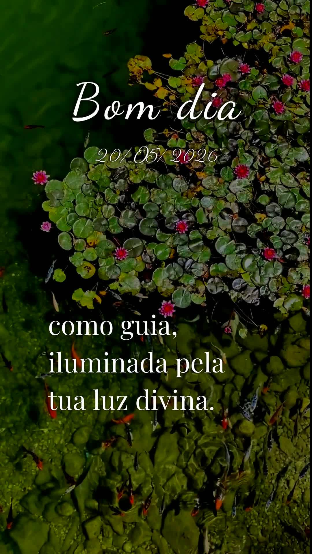 Bom dia, Jesus, meu Mestre e Senhor. Nesta quarta-feira, 20 de Maio de 2026, eu Te ofereço todas as minhas ações deste dia, para a paz e a glória do ...