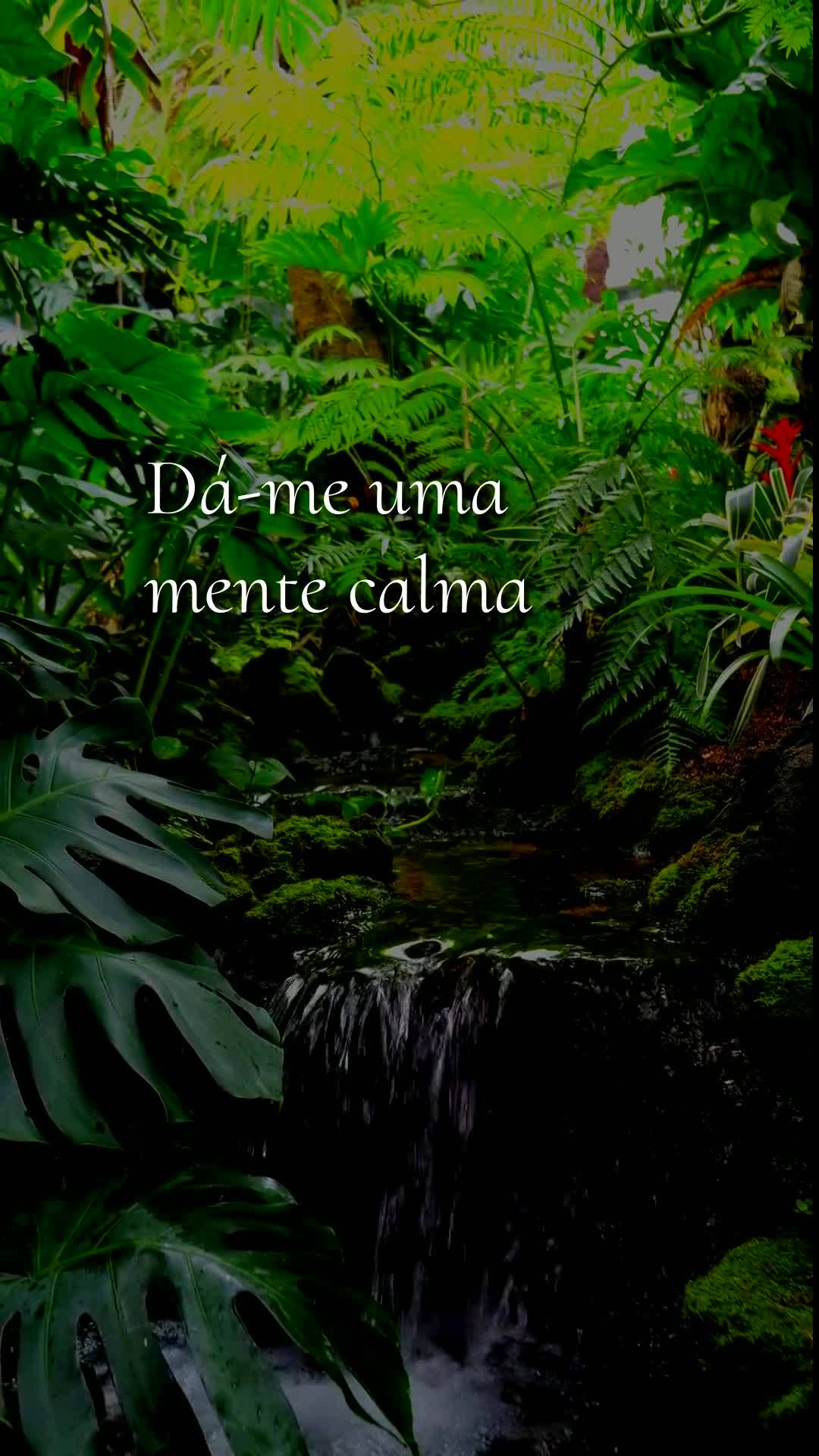 Bom dia, Jesus, meu Mestre e Senhor. Nesta quinta-feira, 10 de Setembro de 2026, mais uma manhã começa, e eu Te ofereço todas as minhas ações deste ...