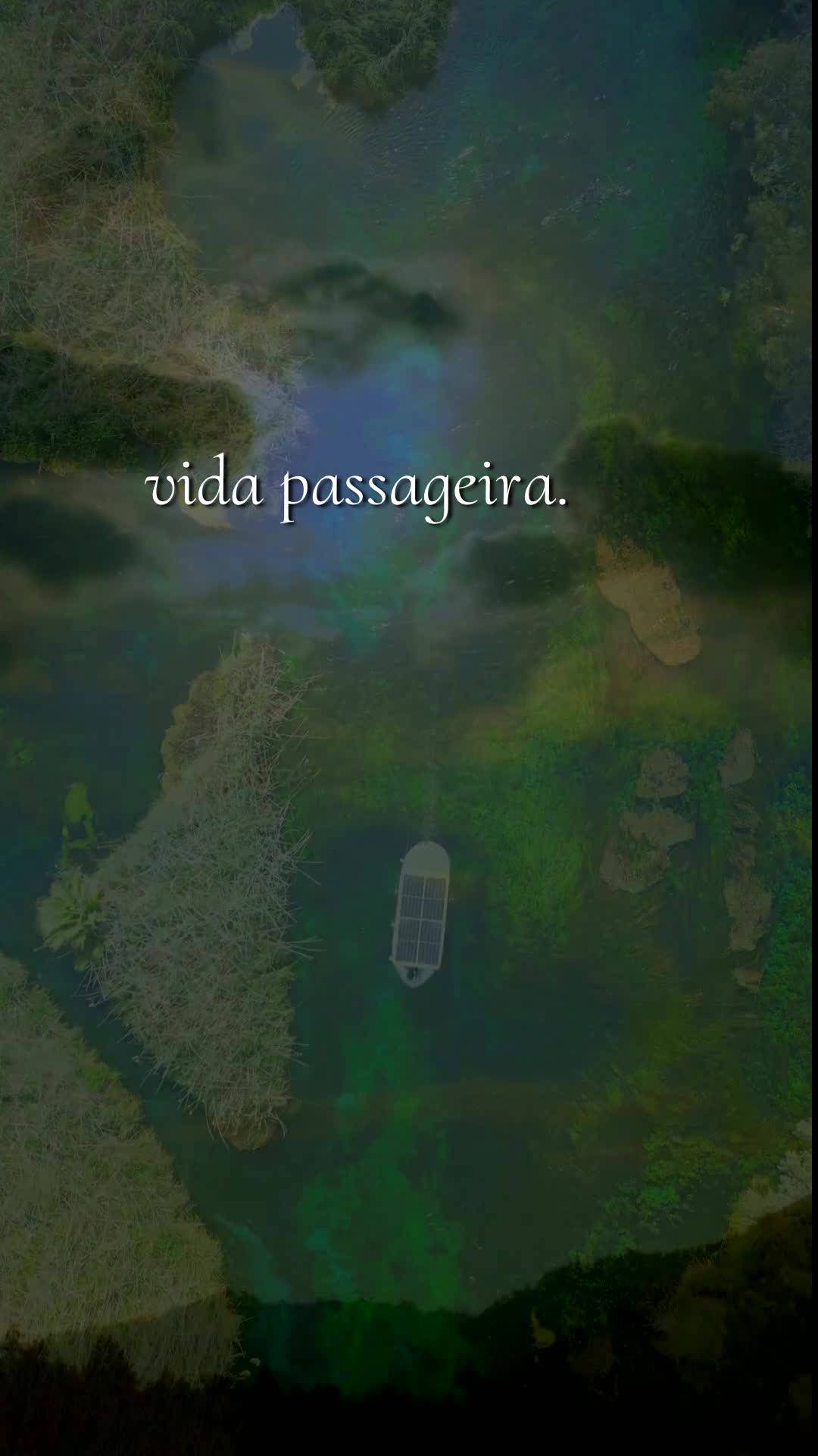 Bom dia, Jesus, meu Mestre e Senhor. Nesta Segunda-feira, 20 de Julho de 2026, uma nova semana começa, e diante de Ti eu abro meu coração. Ofereço-Te...