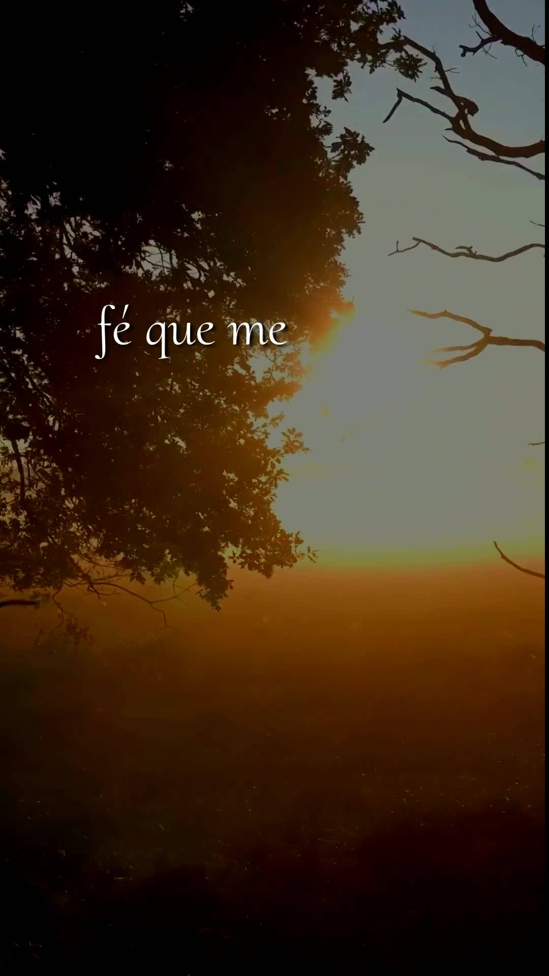 Bom dia, Jesus, meu Mestre e Senhor. Neste Domingo, 12 de Julho de 2026, mais uma manhã começa, e eu Te ofereço todas as minhas ações deste dia, par...