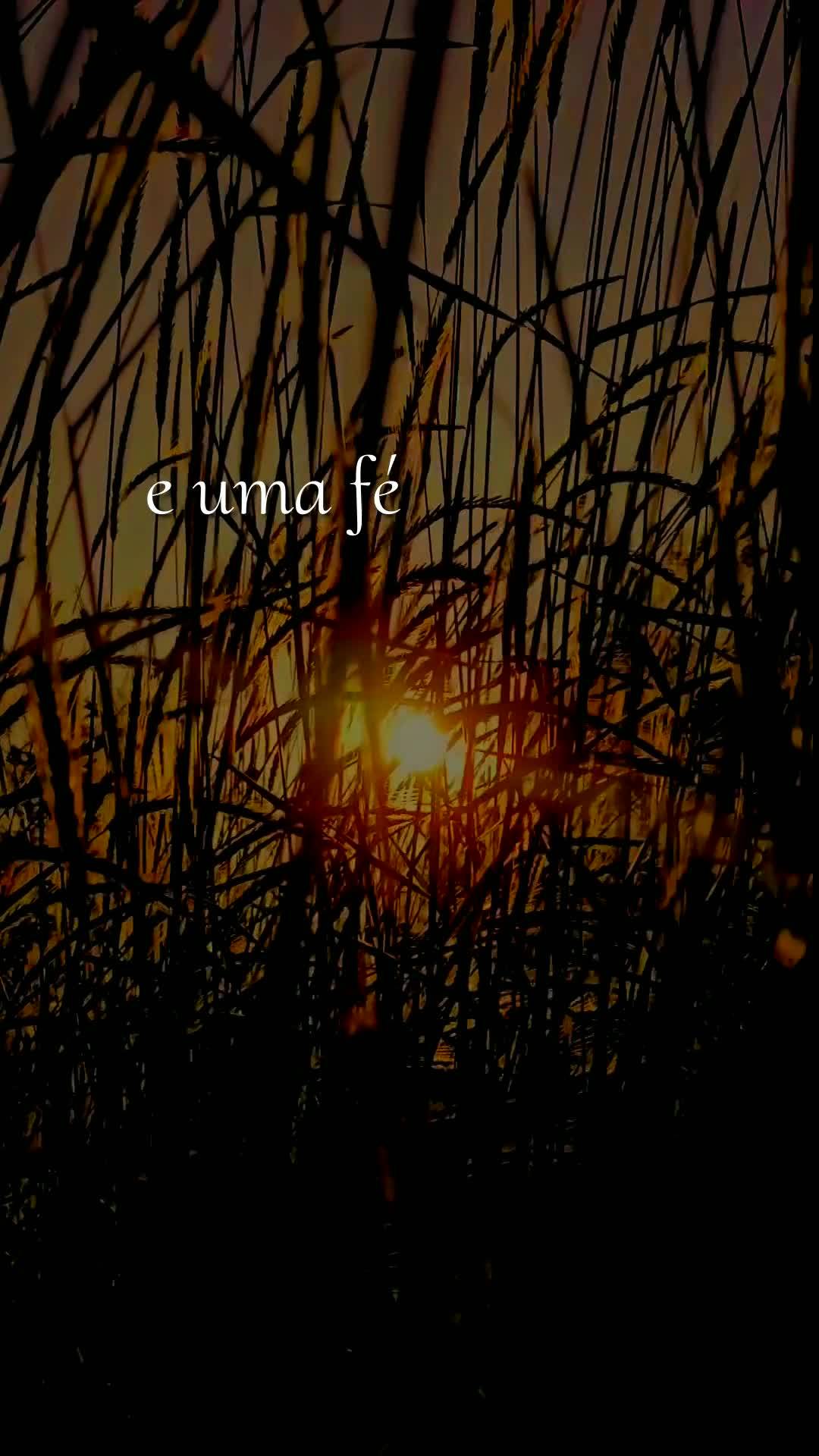 Bom dia, Jesus, meu Mestre e Senhor. Neste sábado, 22 de Agosto de 2026, mais uma manhã começa, e eu Te ofereço todas as minhas ações deste dia, pa...