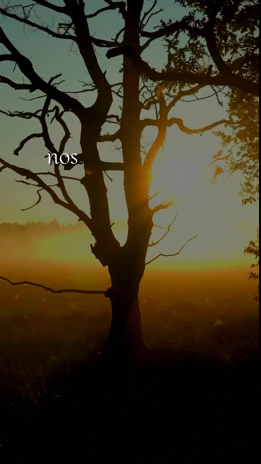 Bom dia, meu amigo! Neste Domingo, 5 de Julho de 2026, dia do Senhor, eu desejo que Deus te guarde, te cuide e te proteja. Que Ele livre você de todo ma...