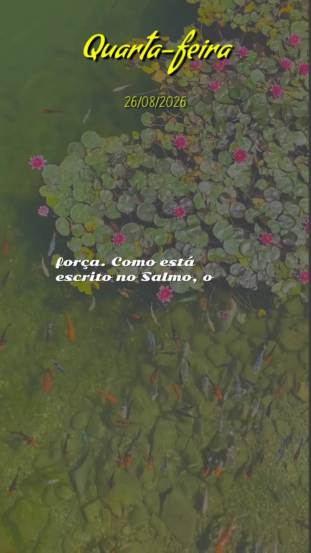 Bom dia! Nesta quarta-feira, 26 de Agosto de 2026, eu te abençoo em nome de Jesus. Que o Senhor caminhe ao teu lado, como teu fiel defensor. Que Ele vá...