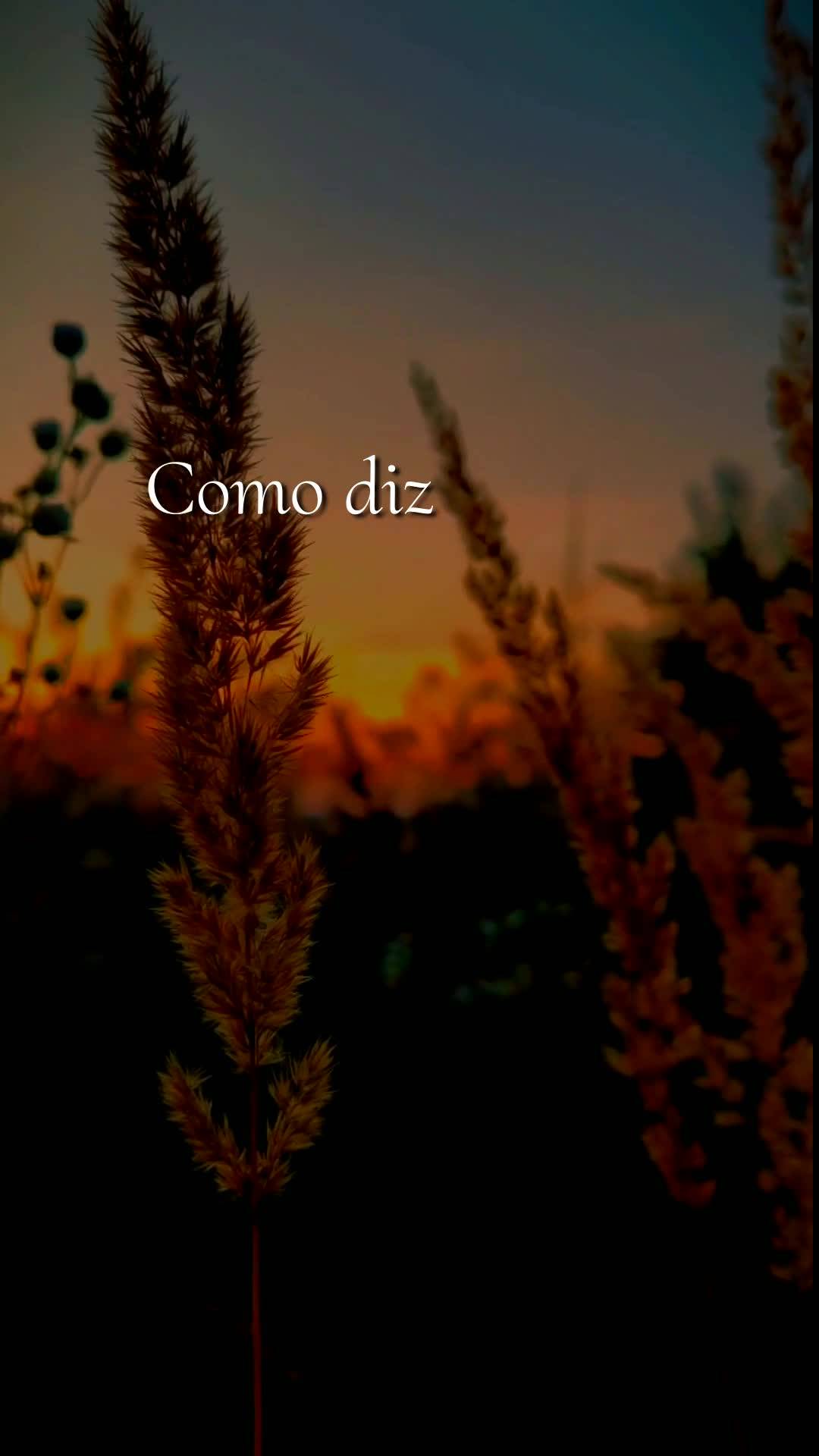 Bom dia! Nesta quarta-feira, vinte e seis de agosto de dois mil e vinte e seis, que o Senhor Jesus caminhe contigo em cada passo. Que Ele esteja ao teu l...