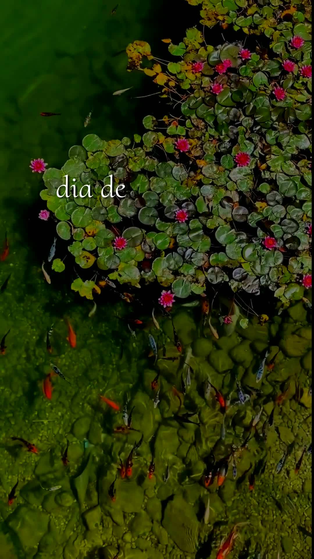 Bom dia! Neste amanhecer de Segunda-feira, 13 de Julho de 2026, uma nova semana se abre diante de você como um presente de Deus. Que hoje não lhe falte...