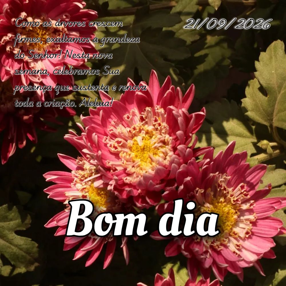 Como as árvores crescem firmes, exaltamos a grandeza do Senhor! Nesta nova semana, celebramos Sua presença que sustenta e renova toda a criação. Alel...