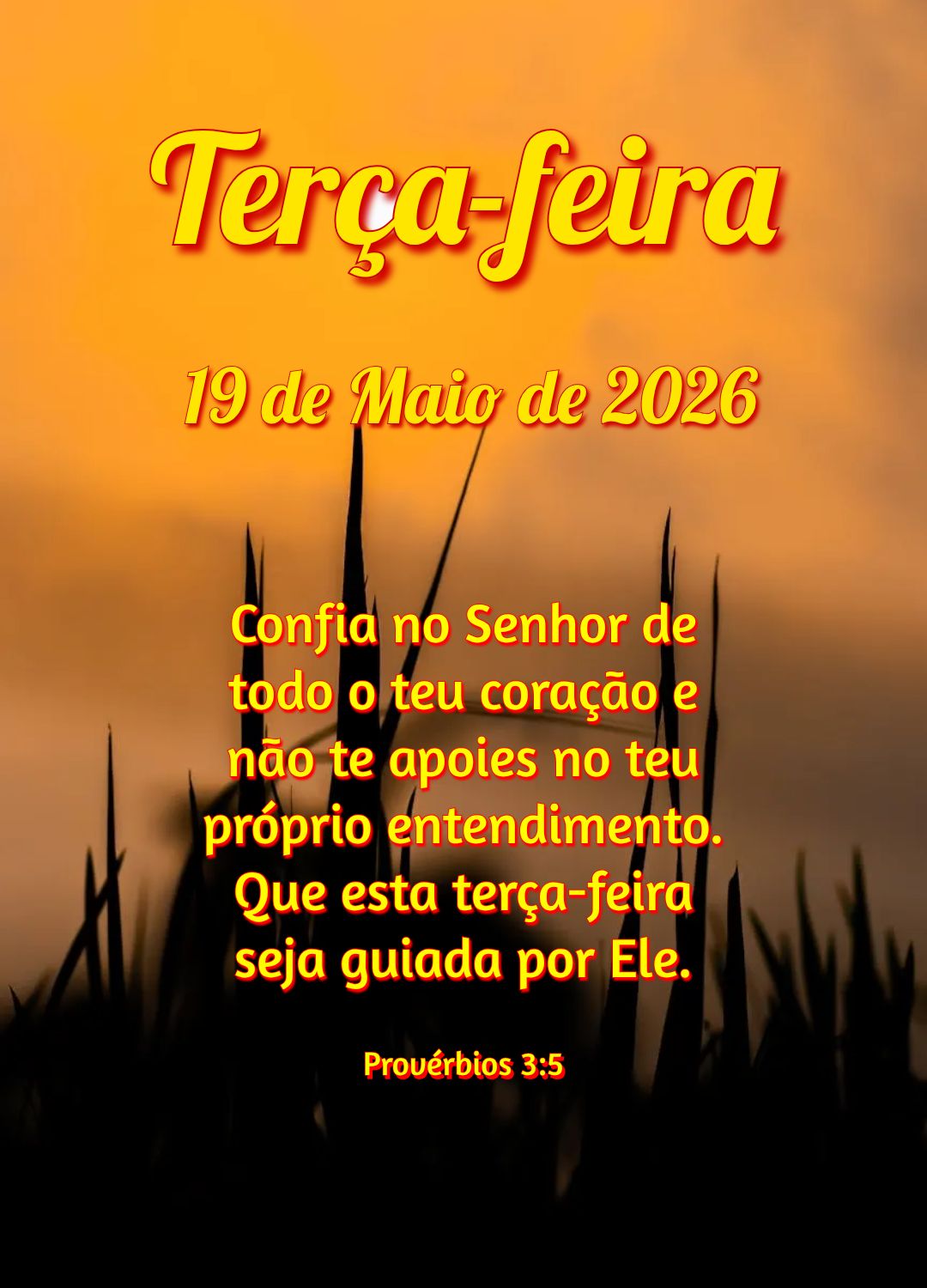 Confia no Senhor de todo o teu coração e não te apoies no teu próprio entendimento. Que esta terça-feira seja guiada por Ele. Provérbios 3:5