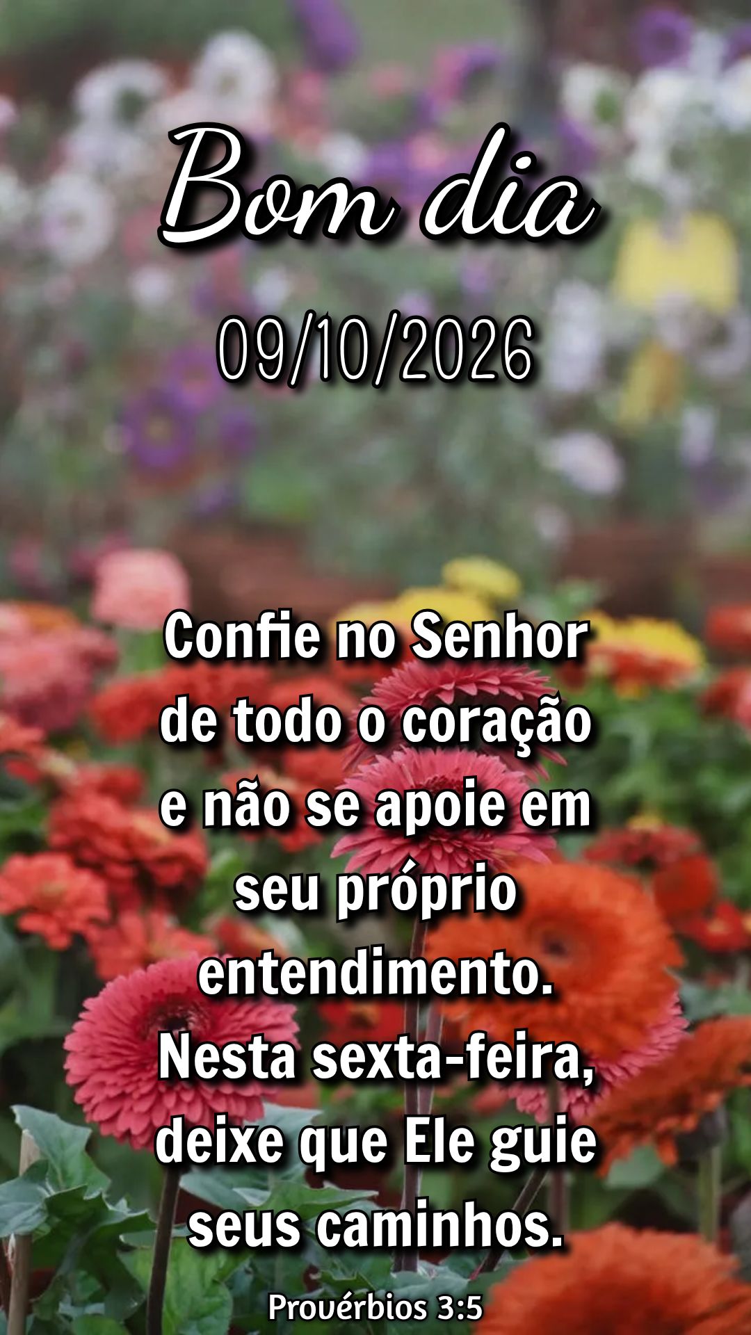 Confie no Senhor de todo o coração e não se apoie em seu próprio entendimento. Nesta sexta-feira, deixe que Ele guie seus caminhos. Provérbios 3:5...