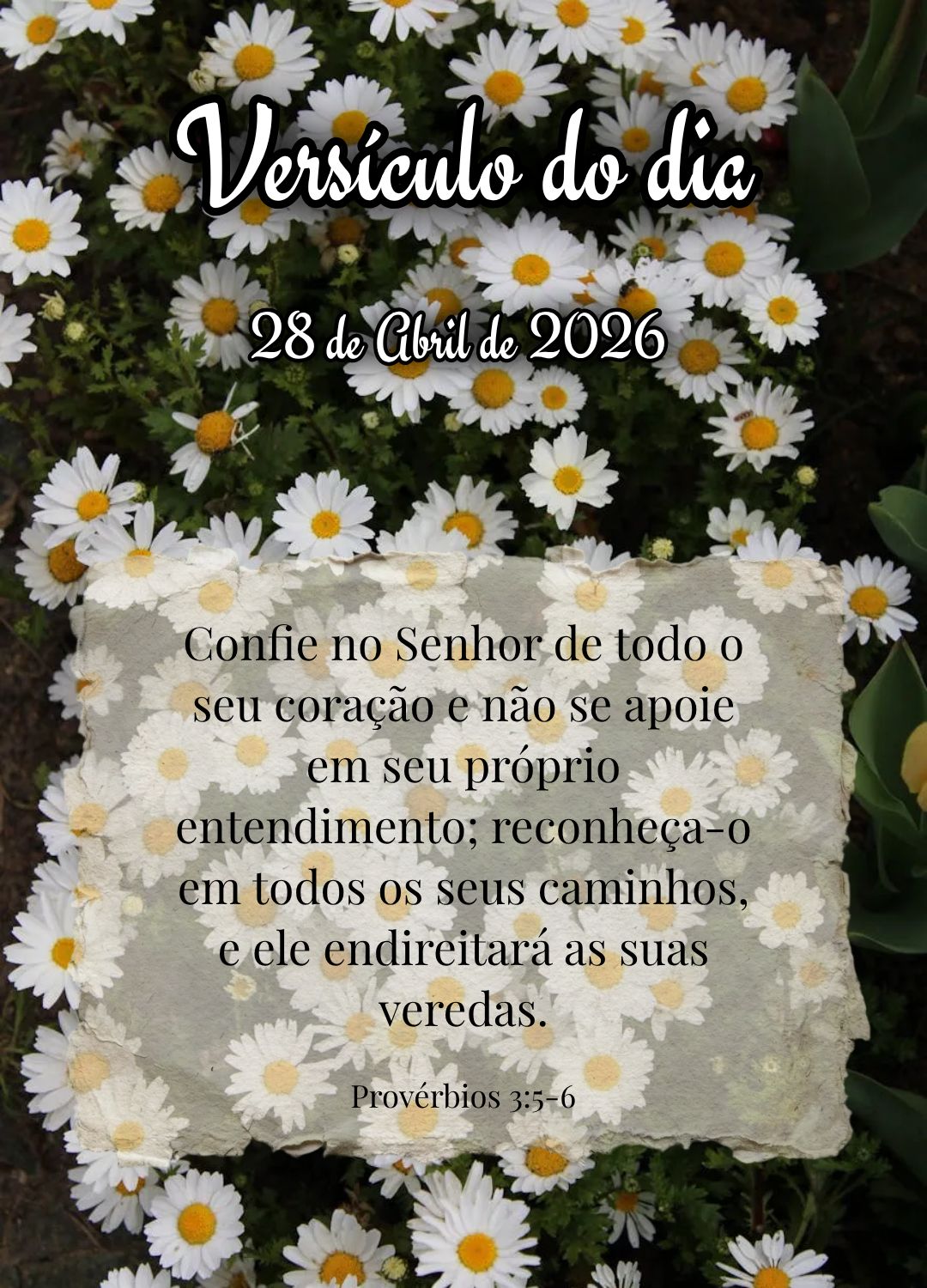 Confie no Senhor de todo o seu coração e não se apoie em seu próprio entendimento; reconheça-o em todos os seus caminhos, e ele endireitará as suas...