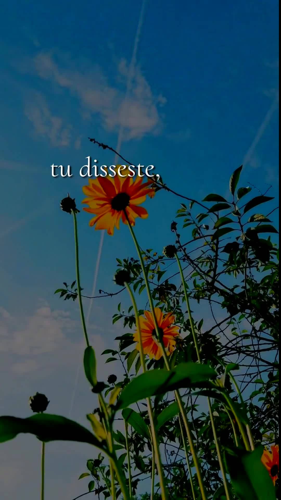 Deus, bom dia. Antes de qualquer coisa, obrigado por abrir meus olhos neste sábado, 4 de Julho de 2026, por renovar minhas forças e me dar o privilégi...