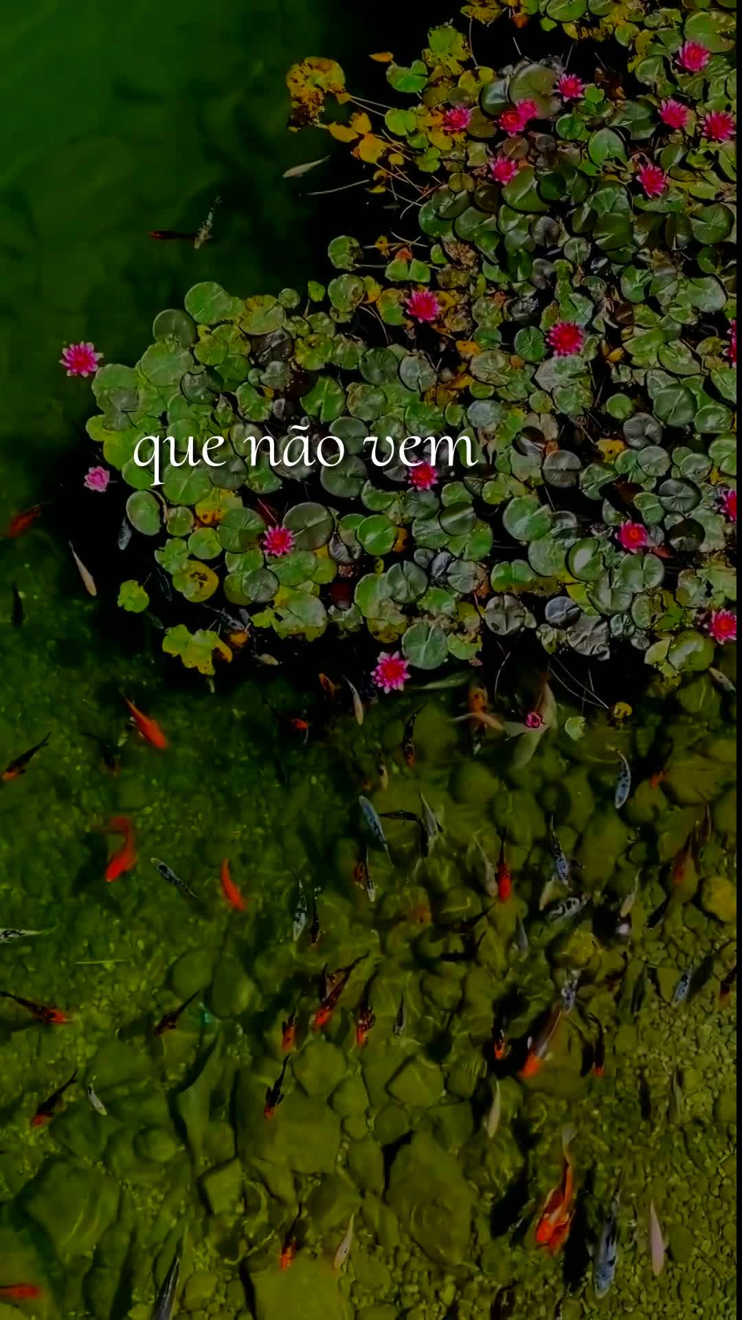 Deus, bom dia. Antes de qualquer coisa, obrigado por abrir meus olhos neste sábado, 18 de Julho de 2026, e me dar o privilégio de recomeçar. Obrigado ...