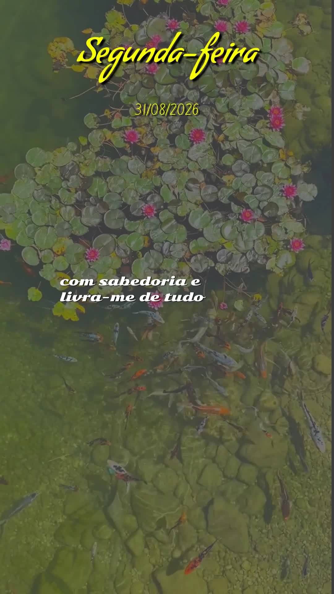 Deus, bom dia. Antes de qualquer coisa, obrigado por abrir meus olhos neste último dia de agosto. Enquanto olho pra trás, meu coração se enche de gra...