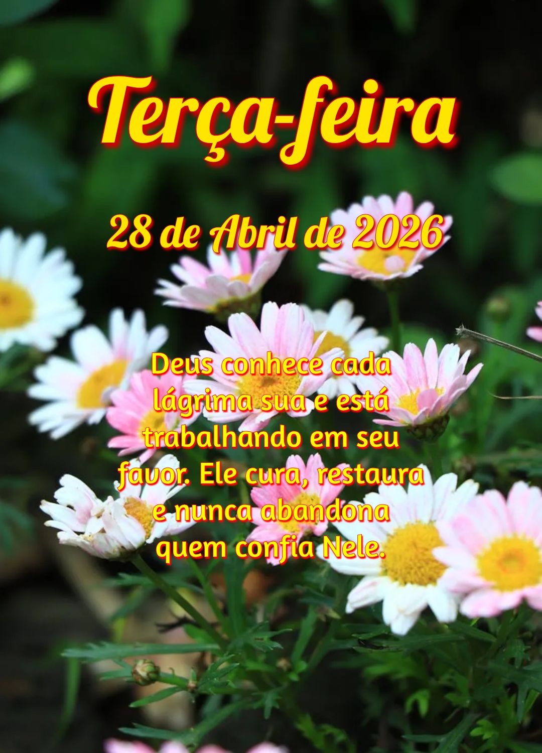 Deus conhece cada lágrima sua e está trabalhando em seu favor. Ele cura, restaura e nunca abandona quem confia Nele.