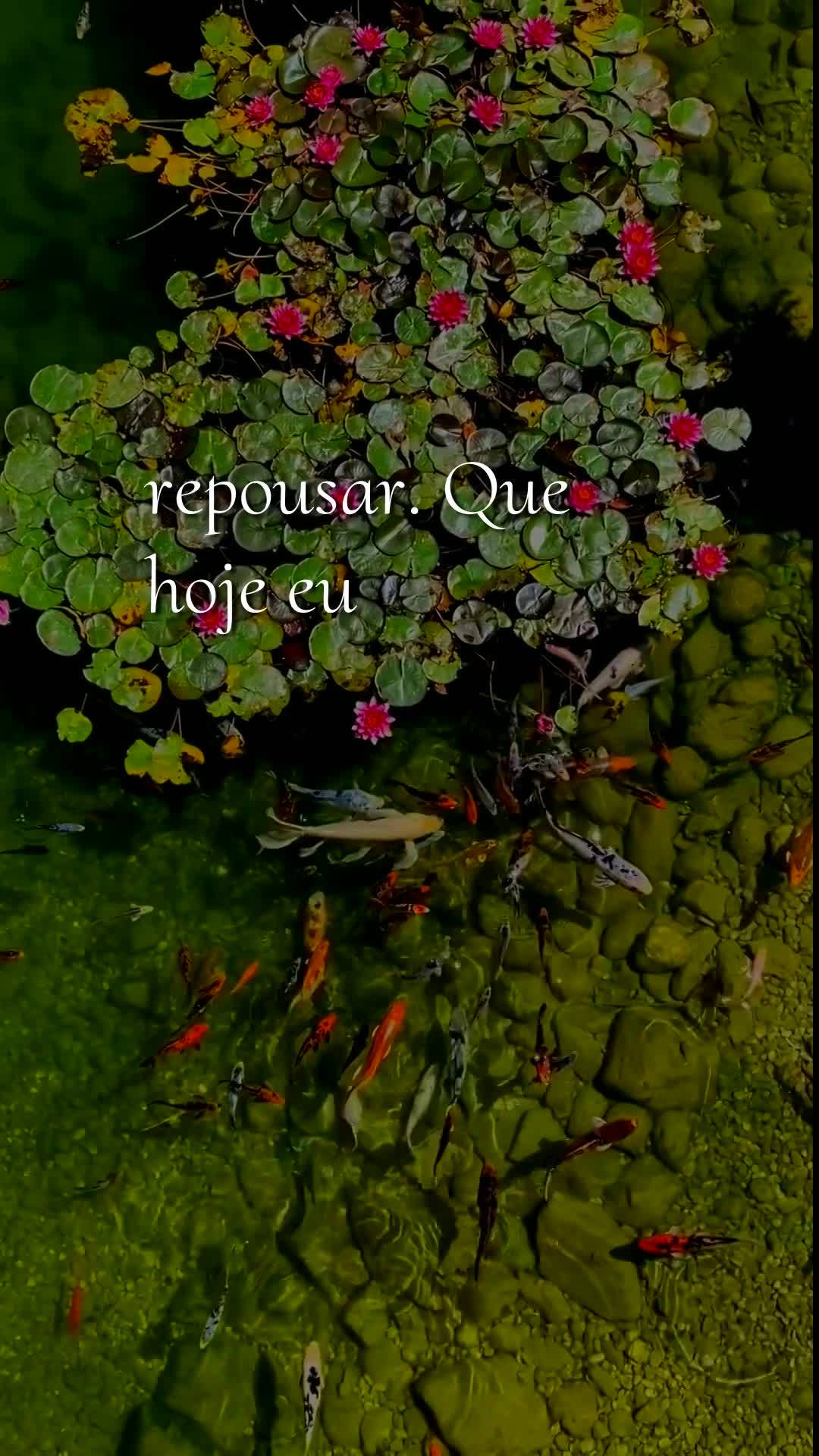 Deus, hoje é domingo, meu pai, dia dezenove de julho de dois mil e vinte e seis. Antes mesmo que este dia avance, eu paro para te agradecer por mais uma...
