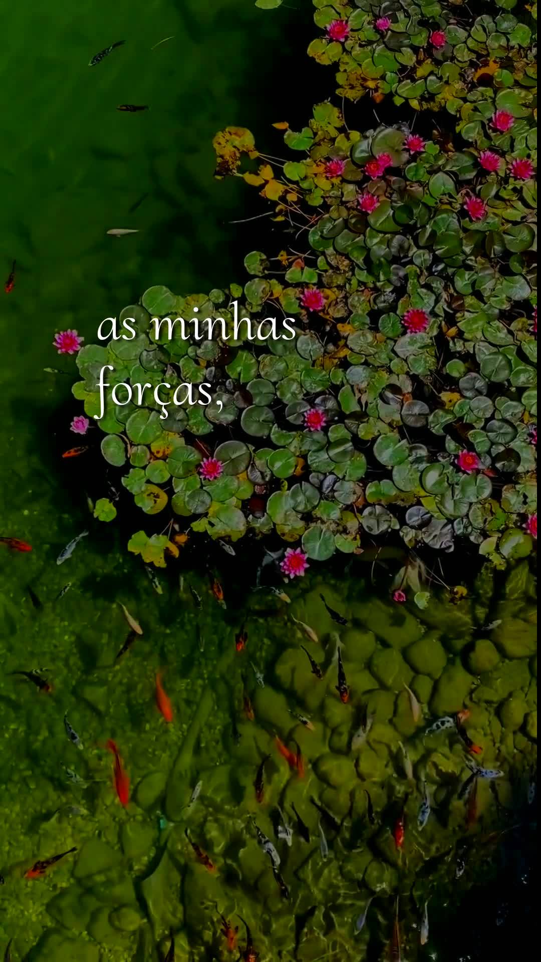 Deus, hoje é quarta-feira, meu pai, dia dois de setembro de dois mil e vinte e seis, e antes que o dia avance eu paro para te agradecer. Bom dia, Senhor...