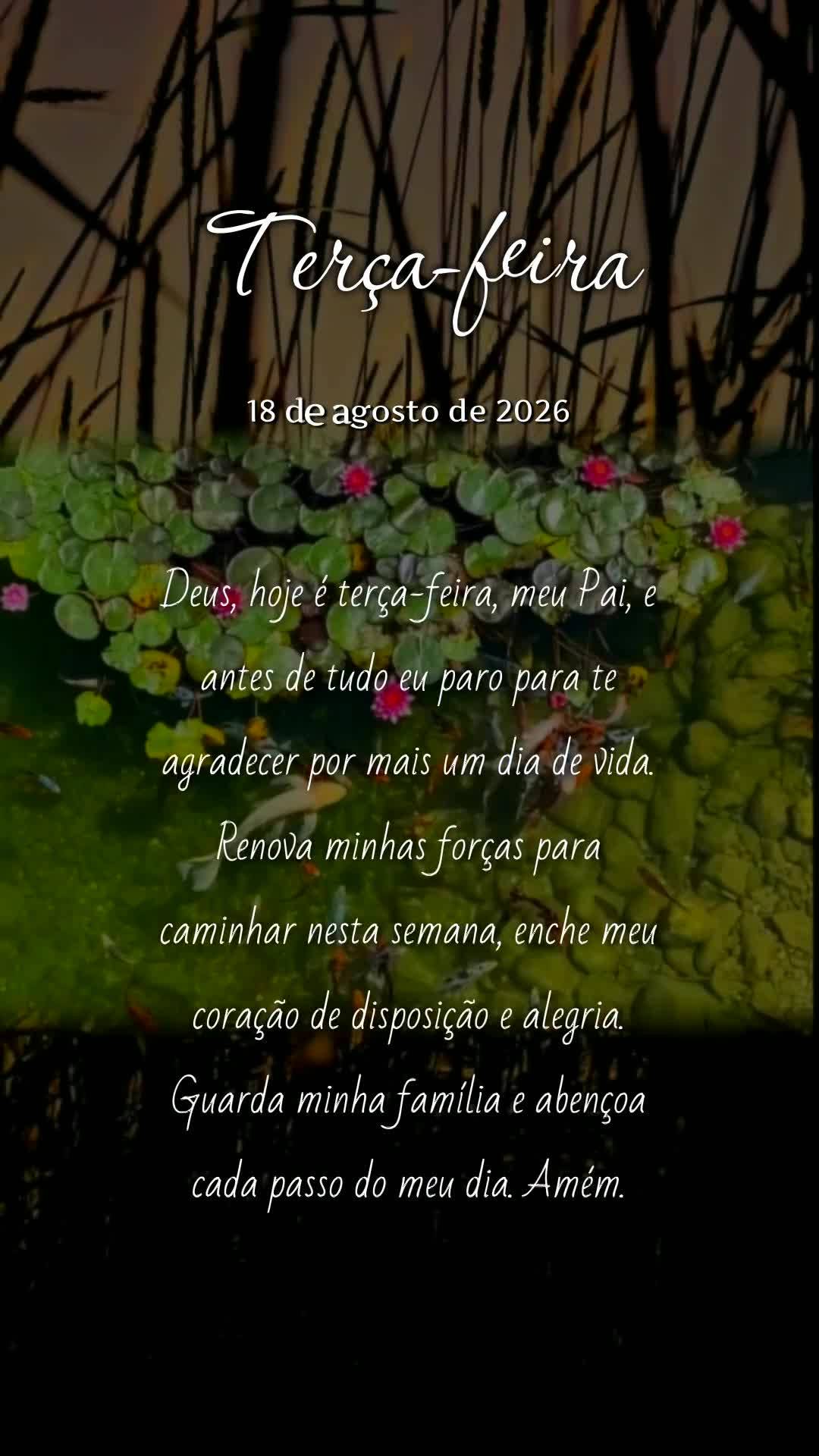 Deus, hoje é terça-feira, meu Pai, e antes de tudo eu paro para te agradecer por mais um dia de vida. Renova minhas forças para caminhar nesta semana,...